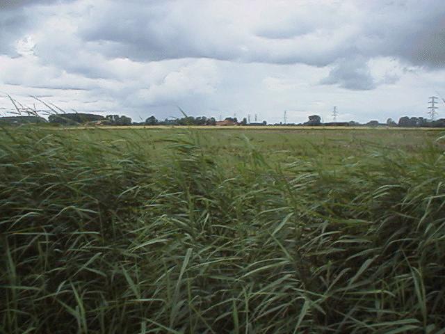 uitzicht op boerderij aan de laar